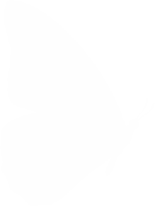 Metamorphosis Watermark